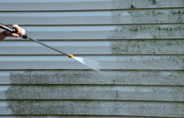 Best Roof Pressure Washing  in Shelburne Falls, MA