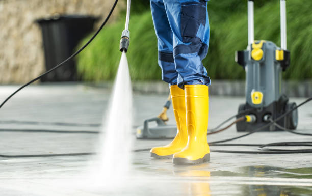 Best House Pressure Washing  in Shelburne Falls, MA