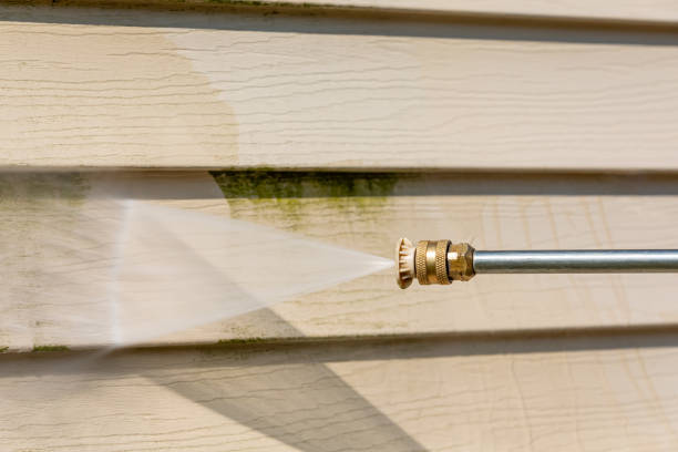 Best Exterior Home Cleaning  in Shelburne Falls, MA